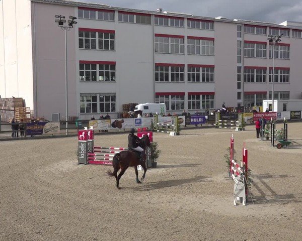Reitturnier Sulgen 2024