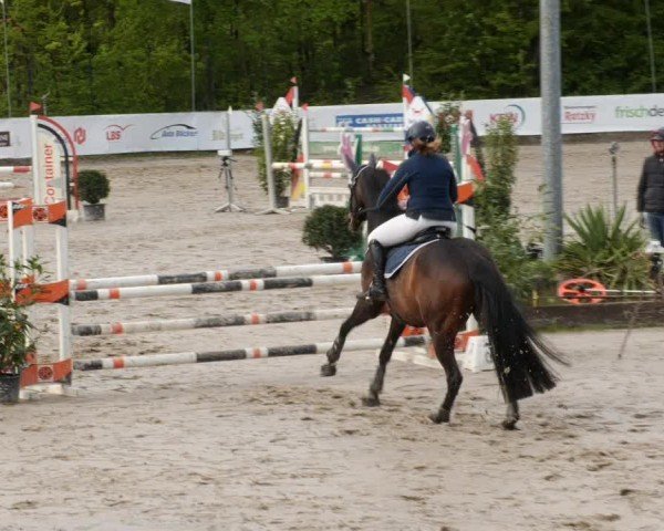 Reitturnier Neunkirchen-City 2024