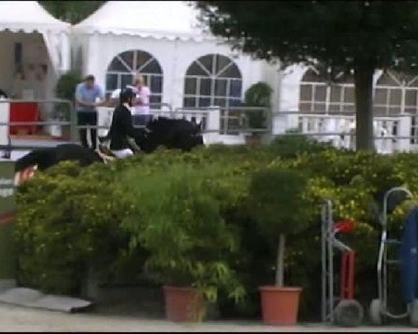 Vosswinkeler Reitertage CSN 2011