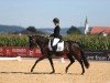 broodmare Black Pearl CS (German Sport Horse, 2017, from Fürsten-Look)