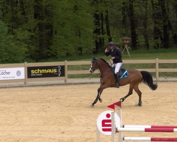 Reitturnier Tiefenhof/Opf. 2024
