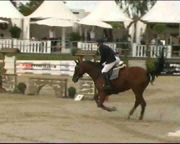 Vosswinkeler Reitertage CSN 2011