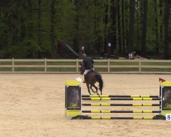 Reitturnier Tiefenhof/Opf. 2024