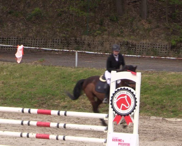Reitturnier Lgl.-Oberhain, B95 2024