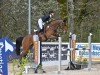 jumper Ria de Arousa (Westphalian, 2017, from Hbc Regilio)