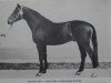 stallion Aspirant (Brandenburg, 1977, from Adept)