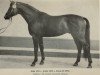 stallion Adio (Brandenburg, 1976, from Adept)