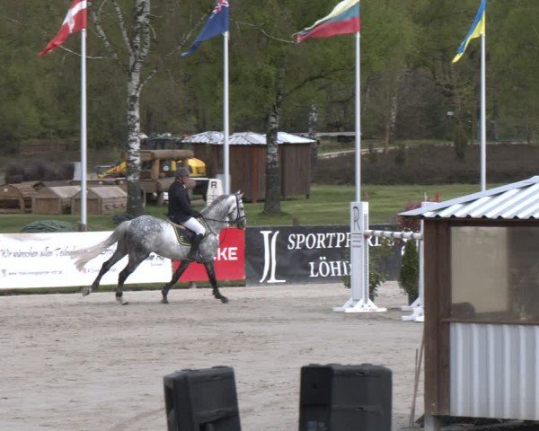 Reitturnier Westergellersen 2024