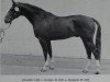 stallion Juwelier (Noble Warmblood, 1982, from Jerome II)