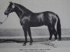 stallion Rubin (German Warmblood, 1976, from Rasant)