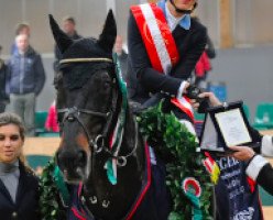 stallion Toronto V (KWPN (Royal Dutch Sporthorse), 2000, from Concorde)