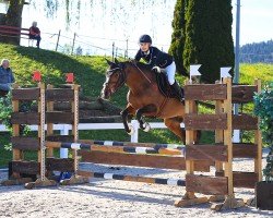 jumper Luna Cl (German Riding Pony, 2016, from Dimension AT NRW)