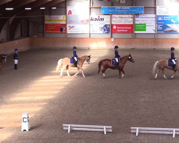 Reitturnier Leck 2024