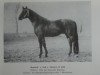 stallion Rendant (Noble Warmblood, 1975, from Ralf)