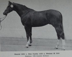 stallion Dozent 1438 (Noble Warmblood, 1982, from Don Carlos 1352)