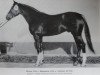 stallion Dillon (Thuringia, 1979, from Disponent)