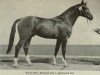 stallion Darius I (unknown, 1978, from Disponent)