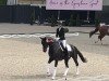 dressage horse Polynero 3 (Rhinelander, 2012, from Polystar)