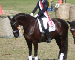 dressage horse Weltruhm's Dream (Hanoverian, 2002, from Weltruhm)