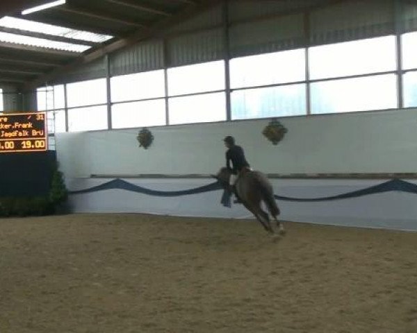 1. Hallen-Late-Entry Reitsportzentrum Gerd Könemann