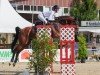 jumper Greta 177 (Oldenburg show jumper, 2014, from Eldorado vd Zeshoek Tn)