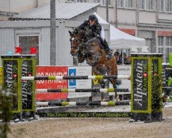 Springpferd Carnute de Chanel Z (Zangersheide Reitpferd, 2018, von Carnute Vainqueur)