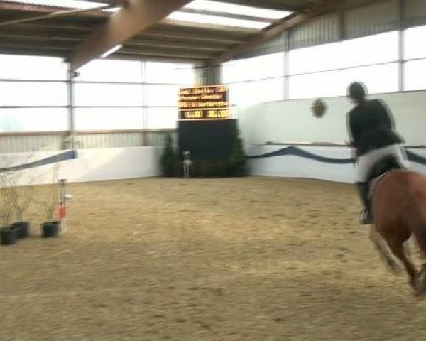1. Hallen-Late-Entry Reitsportzentrum Gerd Könemann