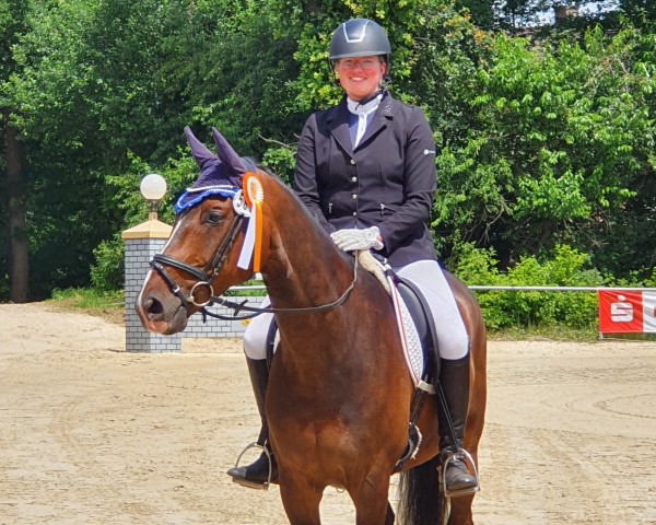 dressage horse Lancaster 177 (Oldenburg, 2007, from Böckmanns Lazio)