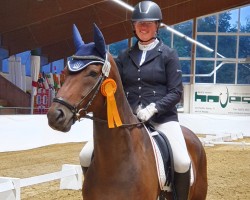 dressage horse Amadeus 1046 (KWPN (Royal Dutch Sporthorse), 2016, from Apache)