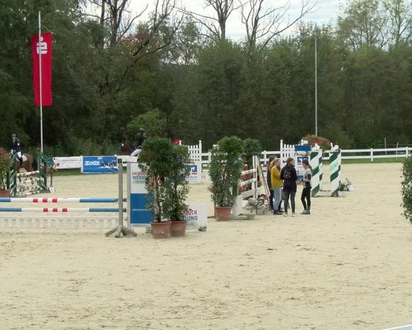 Reitturnier Isny-Rohrdorf 2021