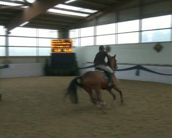 1. Hallen-Late-Entry Reitsportzentrum Gerd Könemann