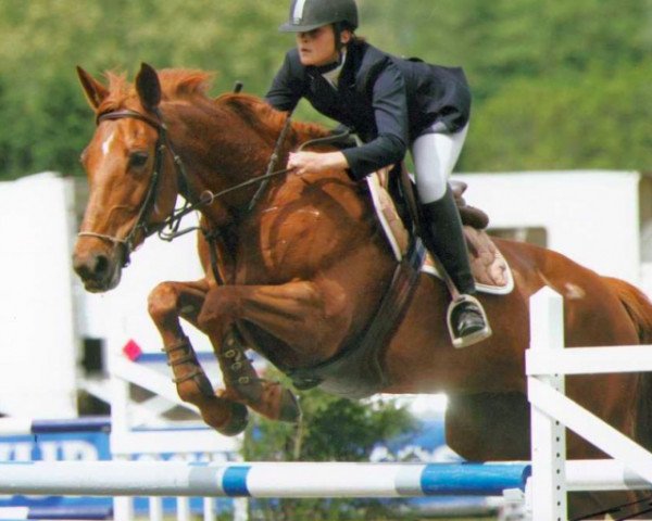 Zuchtstute Ircana de Roide (Selle Français, 1997, von Val de Merze)