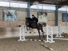 jumper Stand by Me 19 (German Sport Horse, 2017, from Shalom D'Altenbach)