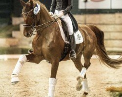 dressage horse Beautiful Soul (Hanoverian, 2012, from Belissimo NRW)