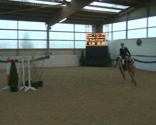 1. Hallen-Late-Entry Reitsportzentrum Gerd Könemann