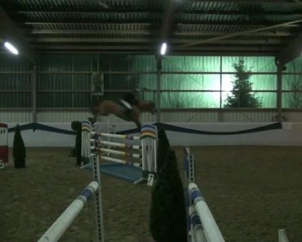 1. Hallen-Late-Entry Reitsportzentrum Gerd Könemann