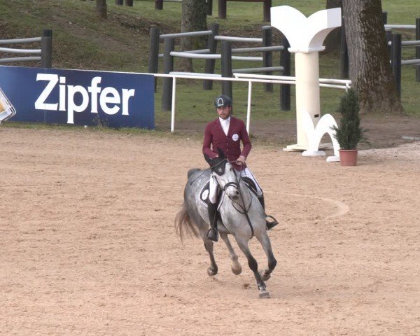 FEI Springturnier Stadl Paura 2024
