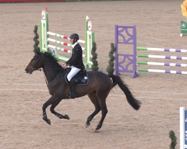 FEI Springturnier Stadl Paura 2024