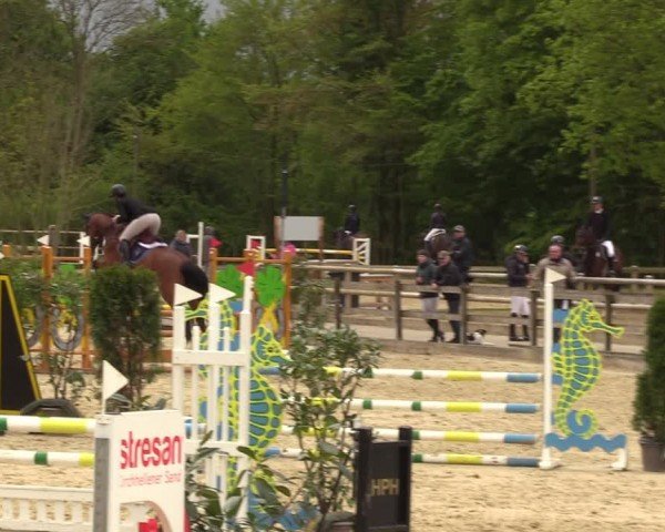 Reitturnier Nienberge 2024