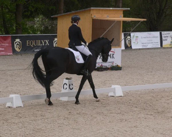 Reitturnier Karlsfeld/Obb. 2024