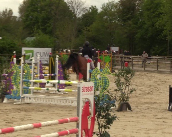 Reitturnier Nienberge 2024