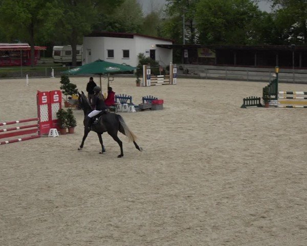 Reitturnier Ingolstadt-Hagau/Obb. 2024