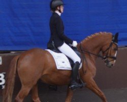 dressage horse Deep Dancing Diamond (German Riding Pony, 2020, from FS Don Juan de Luxe)