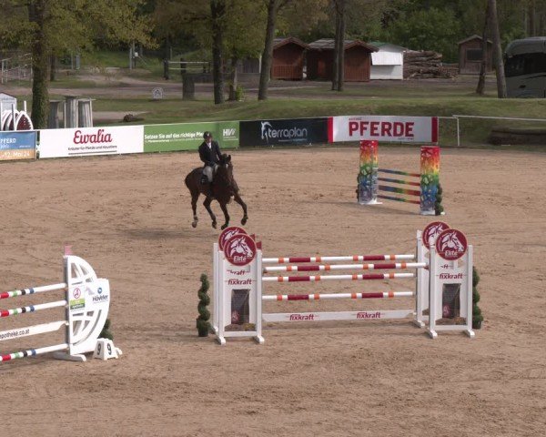 FEI Springturnier Stadl Paura 2024