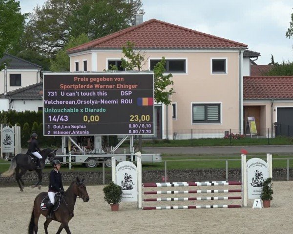 Reitturnier Ingolstadt-Hagau/Obb. 2024