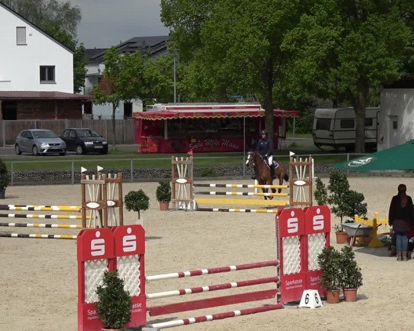 Reitturnier Ingolstadt-Hagau/Obb. 2024