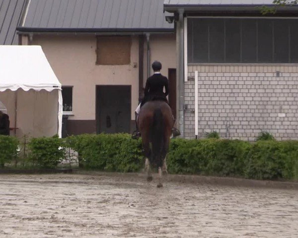 Reitturnier Olfen-Vinnum 2024