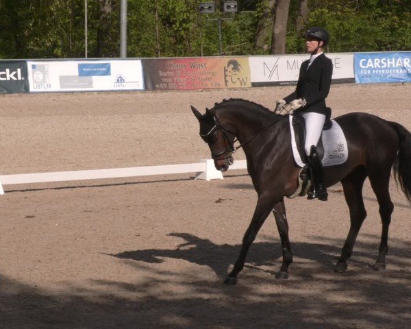 Reitturnier Karlsfeld/Obb. 2024