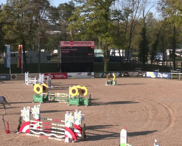 FEI Springturnier Stadl Paura 2024