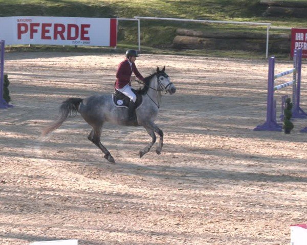 FEI Springturnier Stadl Paura 2024